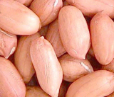 Peanut Kernels