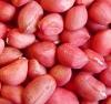 Redskin Peanut