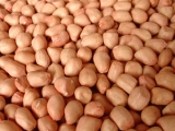 Peanut