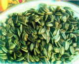 Sunflower Seeds