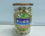 Pistachio