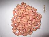 Peanut