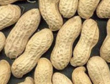Blanched Peanuts