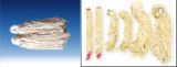 Natural Saled  Sheep / Goat  Casing