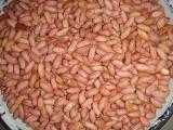 Peanut Kernels