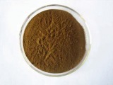 Cassia Nomame 8% P. E. (10: 1)