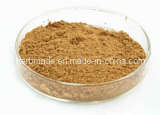 Herb Extract / Plant Extract / Chlorogenic acid