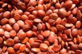  Spine   Date   Seed  P. E