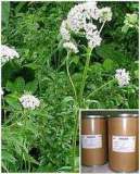 Valeriana Extract and Angelica Root Extract