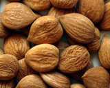 Amygdalin (Vitamin B17, Laetrile) 99%