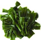 Kelp Extract, Sea Kelp Extract
