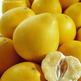Naringin 98% (Citrus Paradisi Macfadaurantiin)
