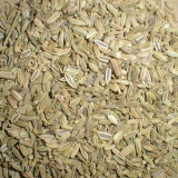  Fennel  Seed  Extract 