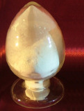  Garlic   Extract   Powder  1%