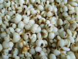  Coix   Seed   Extract 
