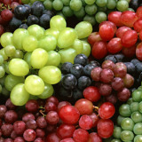 Grape Seed Extract