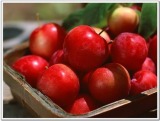 Apple Extract