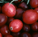 Cranberry Extract