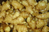 Ginger Exteact