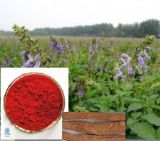Salvia Miltiorrhiza Bge. P.E