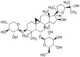 Astragalus Extract (Astragaloside IV 50%)