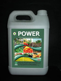 100% Natural Seaweed Extract