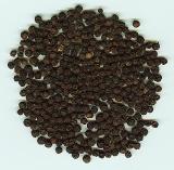 Black Pepper P. E.