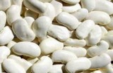 White Kidney Bean Extract