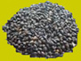 Fagopyrum Tataricum Extract