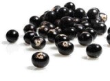 Acai Berry Extract
