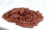 Pine Bark Extract