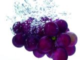 Grape Seed Extract