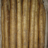 Common Yam Rhizome P. E.
