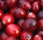  Cranberry   P .  E .