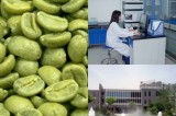 Green Coffee Bean Powder Extract (327