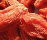 Wolfberry Extract