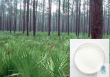 Saw Palmetto P.E