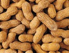 Luteolin (98%)
