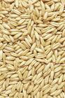 Oats Extract /Venae Fructus Extract/Oats Polypeptide