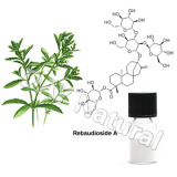 Stevia Extract (DN