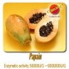 Papain Extract