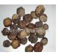 Horse Chestnut (2)