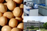 Soybean Powder Extract (486