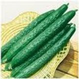 Cucumber Powder (WSD