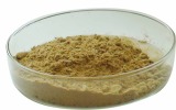 Buckwheat Seeds Extract