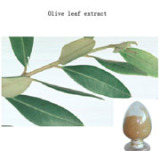 Olive Leaf Extract