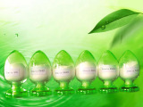 Stevia Extract (RA40%, 50%, 60%, 70%, 80%, 90%)