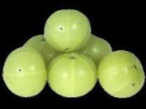 Amla (Indian Gooseberry) Extract 10