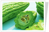 Bitter Melon P. E. /Memordica Charantia L.