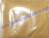 Mulberry Leaf Extract
